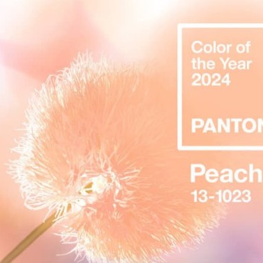 Выбран цвет 2024 года по версии Pantone